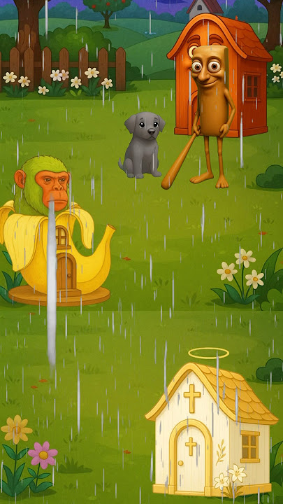 Will Jesus help the stranded Puppy? #jesus #biblestudy #biblequiz