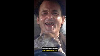Did you know that in GROUNDHOG DAY...