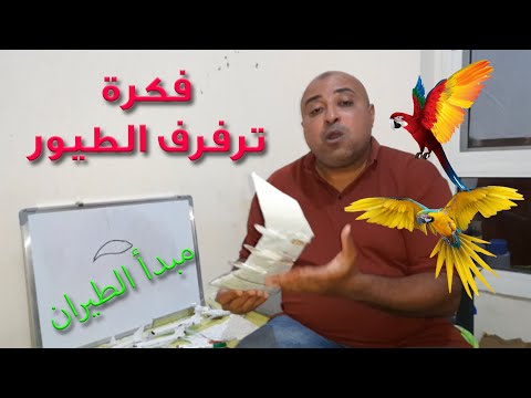 الموسم الأول الحلقة الرابعة فكرة ترفرف الطيور مبدأ الطيران تابعوني وركزو كويس