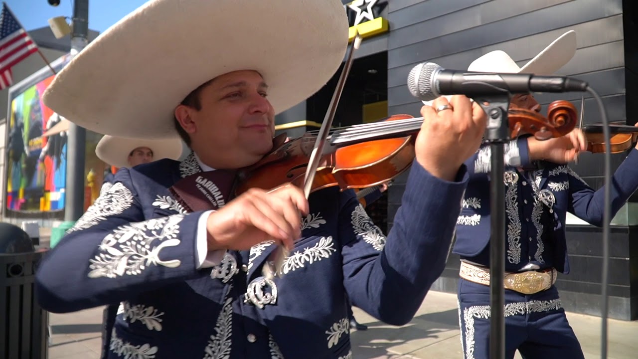 Mariachi Garibaldi de Jaime Cuéllar - Viva Veracruz I auf YouTube ansehen Mariachi Garibaldi de Jaime Cuéllar - Viva Veracruz I auf YouTube ansehen