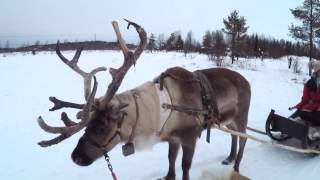 Lapland trip 2016