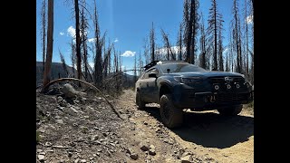 Subaru Outback Wilderness MOLLE Platform Install!