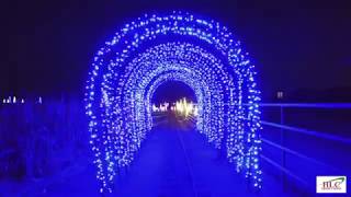 HLC Productions - Marana pumpkin patch holiday light show