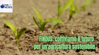 Findus ha aderito alla iniziativa internazionale SAI Platform, il più importante network internazionale di produttori alimentari interessati a sviluppare le buone pratiche dell'agricoltura sostenibile.
In questa intervista esclusiva con EFA News Francesco Fattori, Amministratore delegato di Findus, e Renato Roca, Direttore Marketing, illustrano gli obiettivi di sostenibilità del colosso dei surgelati. L'adesione a SAI Platform arriva dopo che Findus, un anno fa, aveva ricevuto la certificazione MSC sulla pesca sostenibile. FINDUS: coltiviamo il futuro per un'agricoltura sostenibile