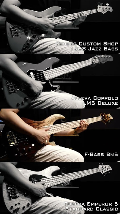 Fender vs Alleva Coppolo vs F-Bass vs Fodera (Only Passive Sound) | Marcus Miller - Run For Cover