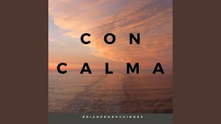 Con Calma (Remix) - Brianproducciones - Topic