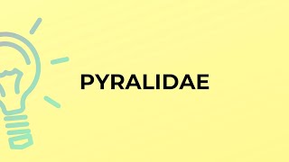 What is the meaning of the word PYRALIDAE