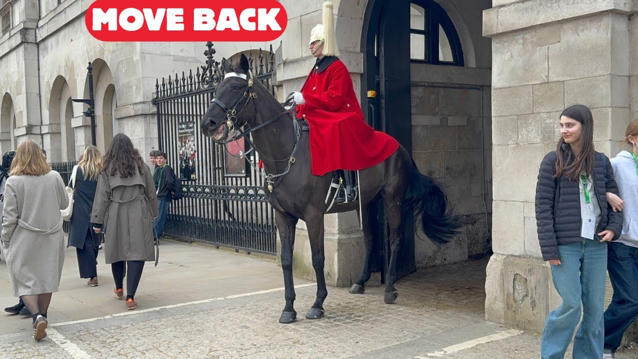Brilliant! King’s Guard Uses His Horse to Move Tourists From The Box 🤣