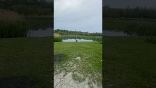 Forge Pond Scenery #pond #nature #view #peaceful #walk #shorts