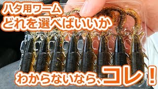 【キジハタ】釣り方、狙い方がわからないなら、このワームが超オススメ！！