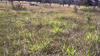 100_0841.avi