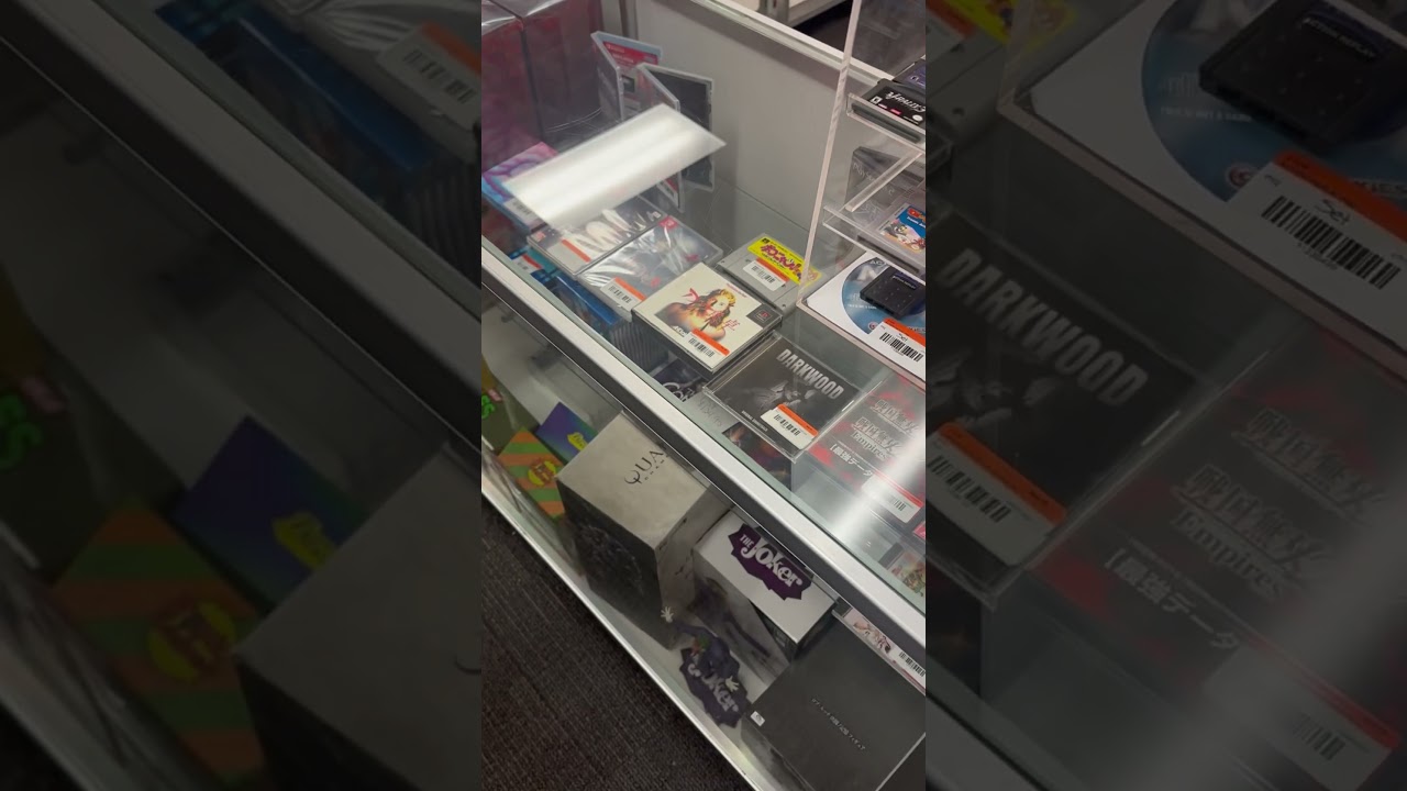 Looking at old games #chiefandlizzie #gaming #adventure #retrogaming