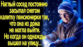 Наглый сосед постоянно засыпал калитку пенсионерки снегом, а когда однажды вышел на улицу...