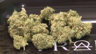 Niles Township voters pass marijuana business proposal