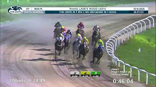 Vidéo de la course PMU PREMIO LAKE'S WOOD 2011