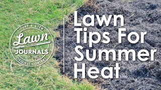 Lawn Tips for Summer Heat - keep your cool-season grass green and healthy in the hot weather