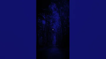 Billie Eilish Blue Lyrics I Try To Live In Black White But I M So Blue Blue Billieeilish 