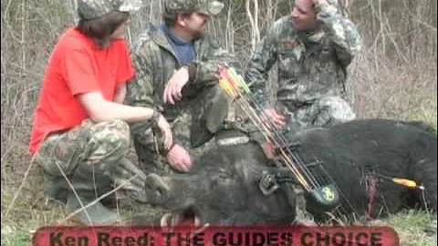 hogzilla,SCI World Record Wild Hog Hunt / Ken Reed Outdoor Film