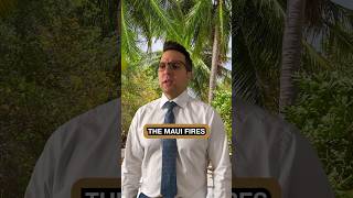 Maui Fires Explained law education