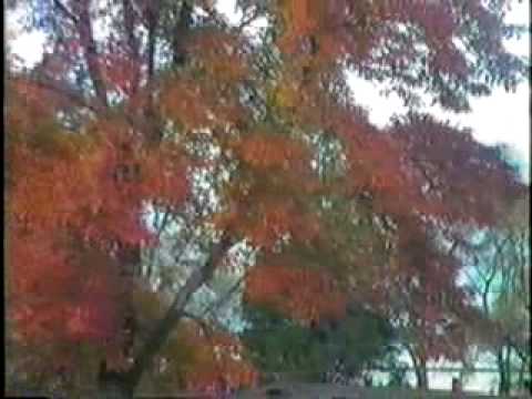 Autumn Cruise in The Pine Barrens of New Jersey in...