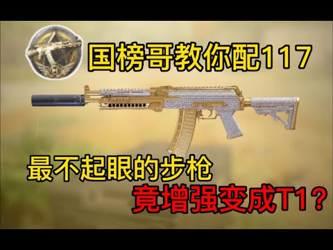 【使命召唤手游】使用率最高的4把步枪，第四名人人都用过！#CODM一枪穿云