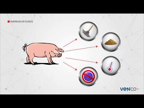 Vídeo: Metodologia E Aplicação Dos Modelos De Infecção Por Escherichia Coli F4 E F18 Em Porcos Pós-desmame