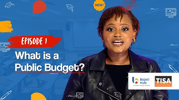 Ep. 1: What is a Public Budget? | Understanding Public Budgets