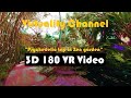 180 VR - Psychedelic trip in Zen garden - 4K _ Thrillseekers, Travel, Storytelling