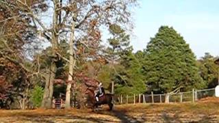 MVI_3276.avi