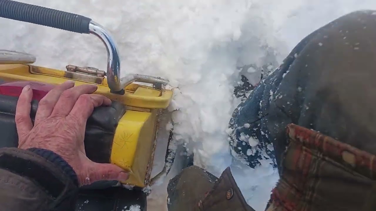 первая часть сегодня