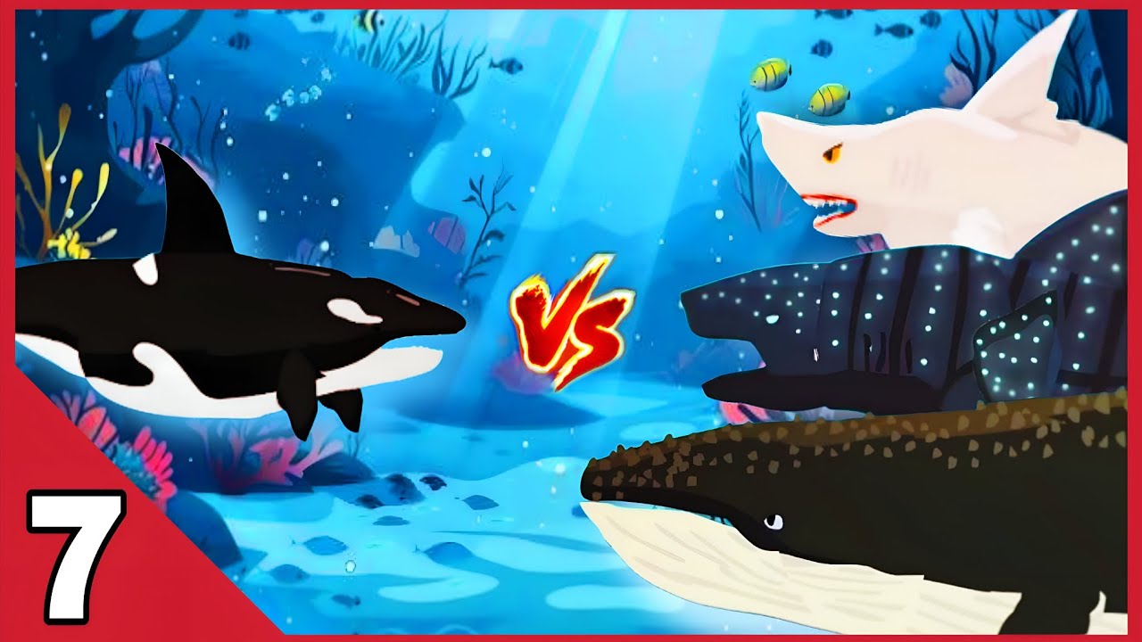Legendary Orca vs Great White Shark, Humpback & Whale Shark 🐋⚔️  