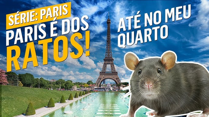 Rato inflável gigante é instalado em rua de Nova York