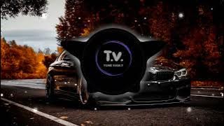 Alan Walker - Lily ( Bass Boosted )