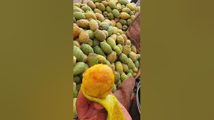 كيف تقشر البرشومي ( التين الشوكي )