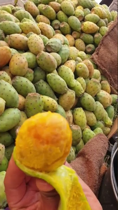 كيف تقشر البرشومي ( التين الشوكي )