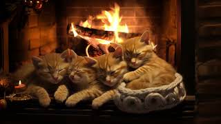 Stay Warm And Cozy with Purring Kittens | Helps Sleep Instantly | Fireplace Burning