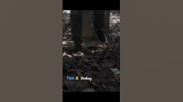 Tipe-X - bimbang