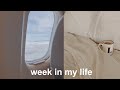 WEEKLY VLOG | coffee, thrifting, San Fran!