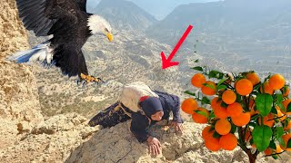 Death-Resistant Girls The Deadliest Mountain Workers