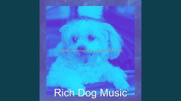 Pulsating Ambiance for Dog Separation Anxiety