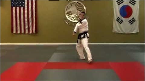 Pyung Ahn 2 - Rear View - Move By Move