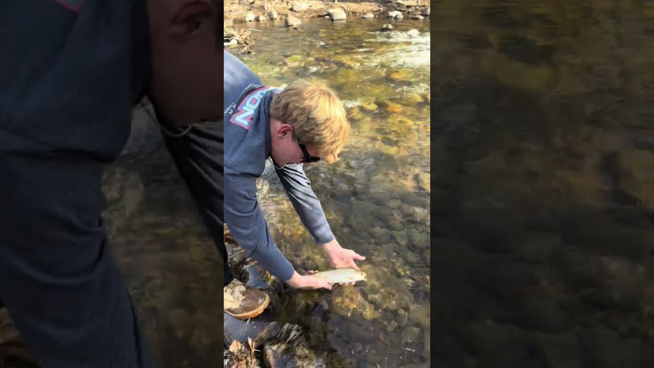 Nice little rainbow out of boulder creek! 