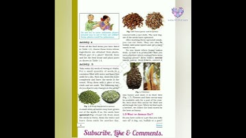 NCERT Book & Solution | Science | Class-06 | Chapter-01 | FOOD: Where does it come from? |