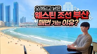 43년 된 해운대 고인물⁉️ '웨스틴 조선 부산' 자꾸 찾게 되는 이유