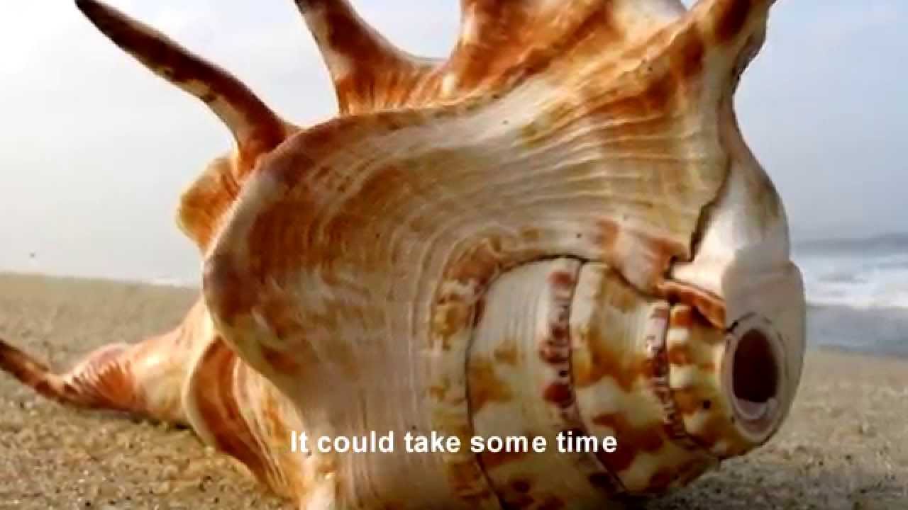 REMEMBERED WELL   Rob Thomas