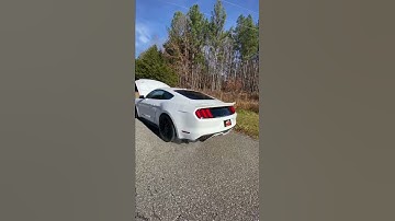 WHIPPLE Supercharged S550 Mustang Sounds MEAN! #shorts
