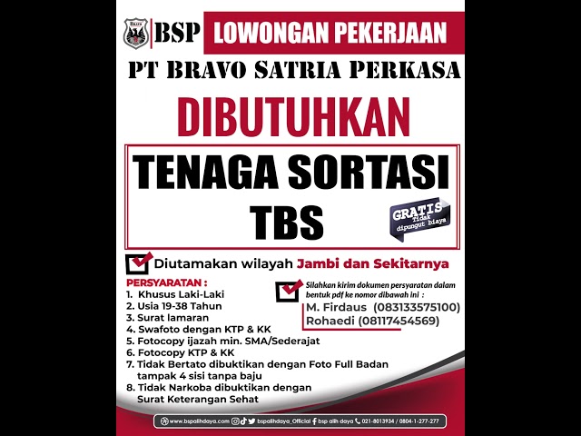 [LOWONGAN PEKERJAAN] - DIBUTUHKAN : TENAGA SORTASI TBS - DIUTAMAKAN WILAYAH JAMBI DAN SEKITARNYA