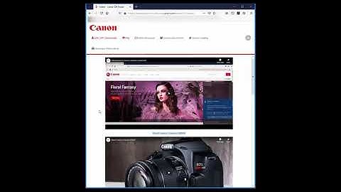 An Introduction to the Canon Developer Community