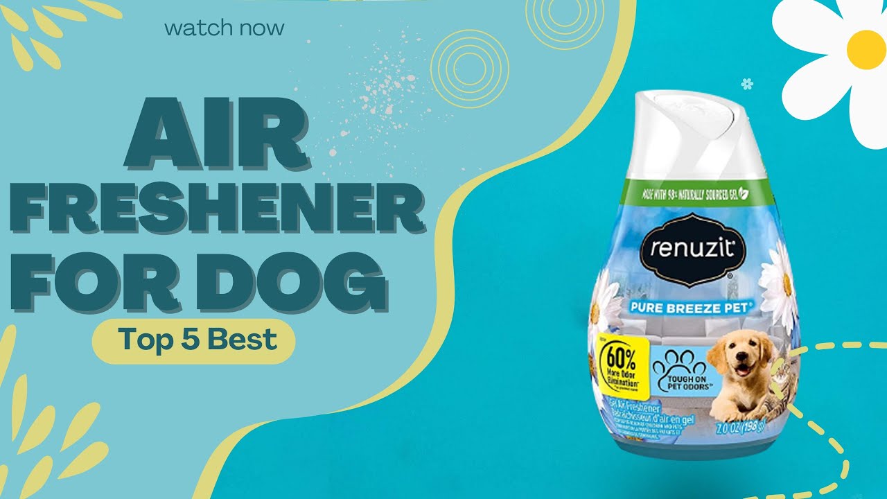 Best Air Freshener for Dog in 2023 | Top 5 Review