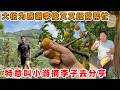 大伯在村里干活时,经常得到李俊和叉叉的帮助,李子成熟了特意叫小游送去分享。